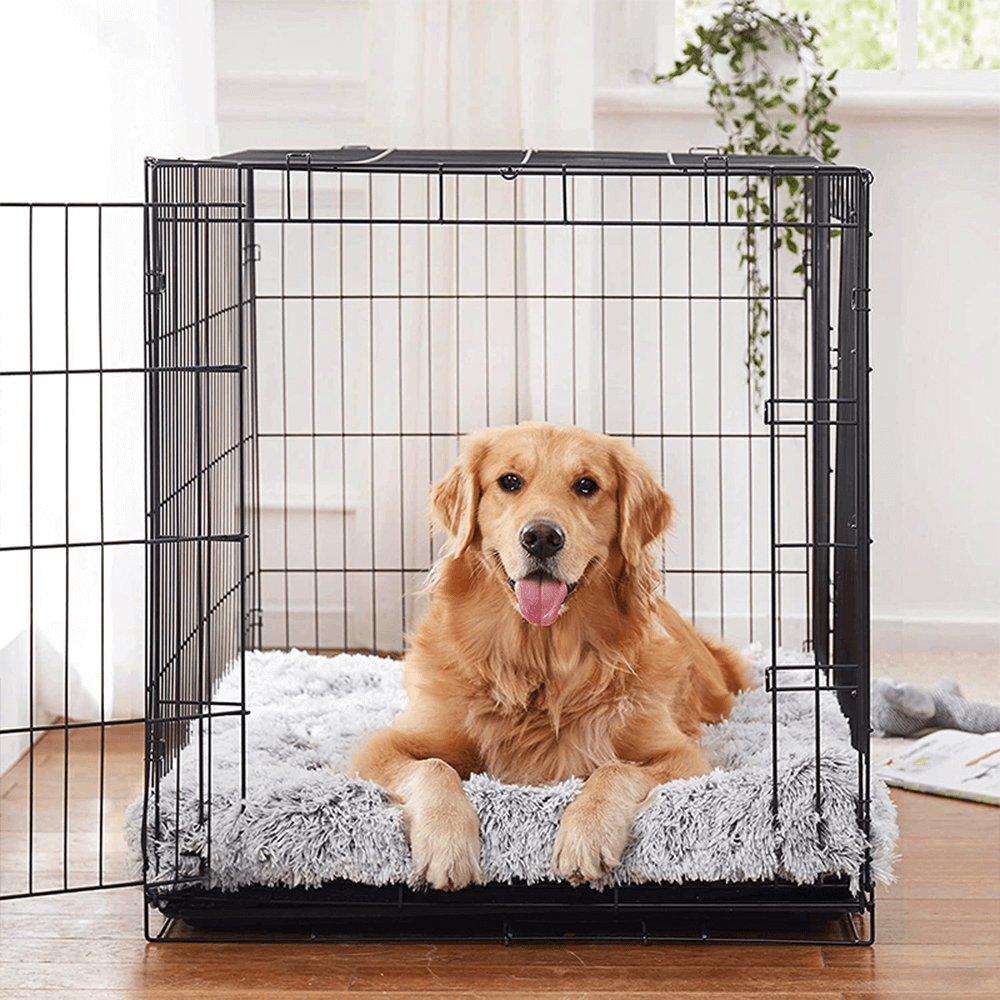 gid://shopify/MediaImage/33701371052272